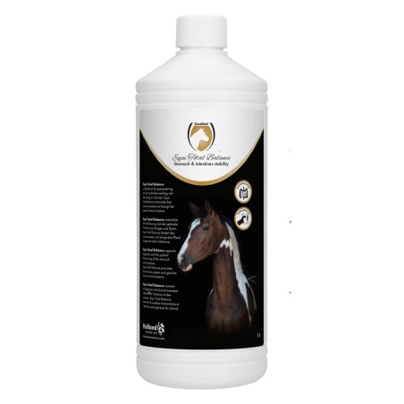 Excellent Equi Total Balance 1 l