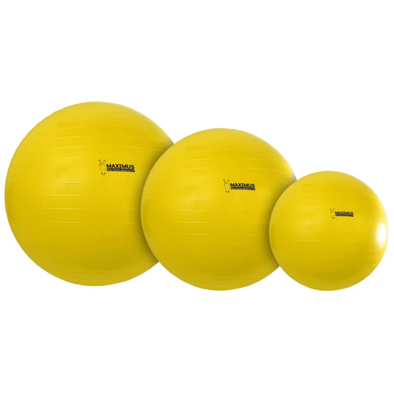 Maximus Power Play Ball 75 cm