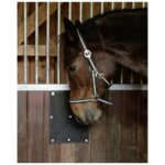 Borstelmat voor Paard, Kalf, Geit 40 x 30 cm