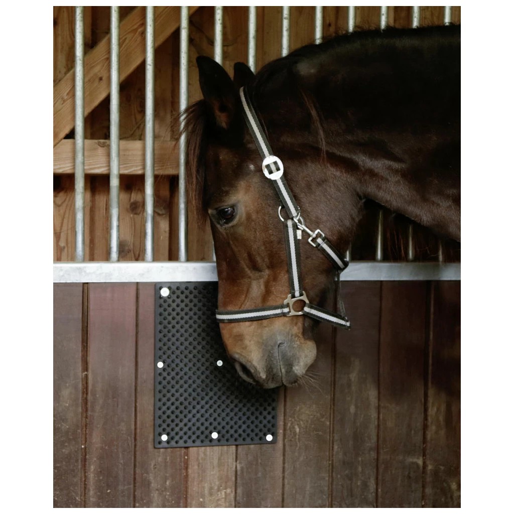 Borstelmat voor Paard, Kalf, Geit 40 x 30 cm Borstelmat voor Paard, Kalf, Geit 40 x 30 cm